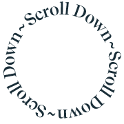 Scroll Down Circle